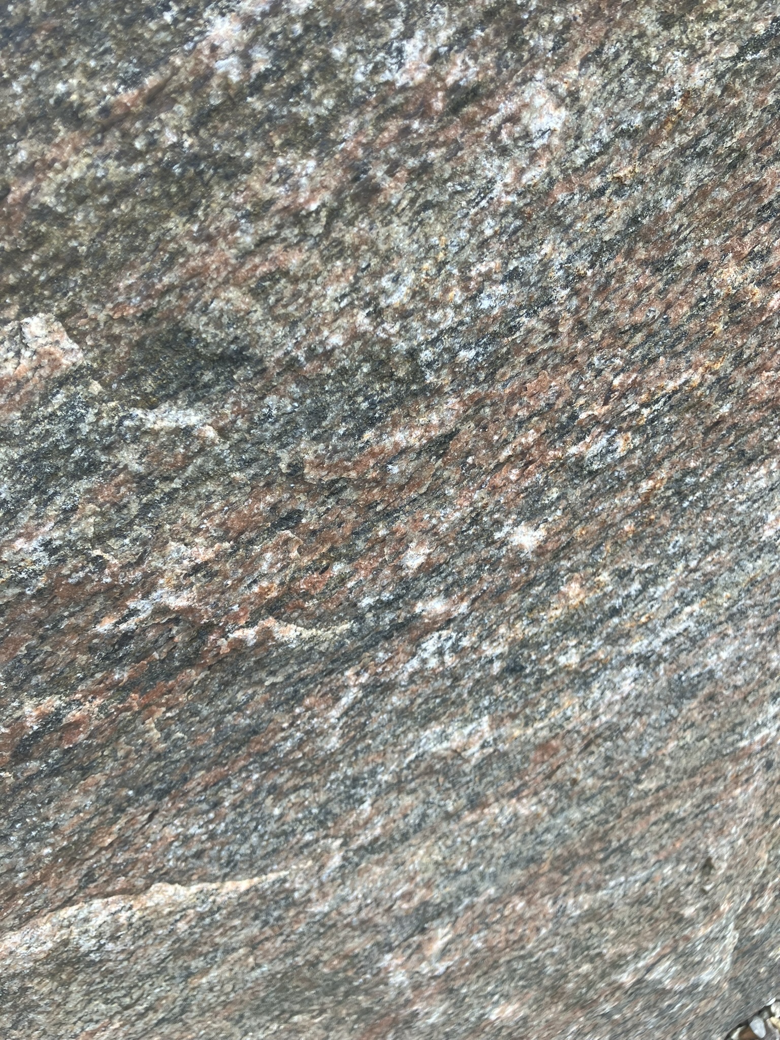 IMG_2409 Gravsten i Halmstad Spalt Granit